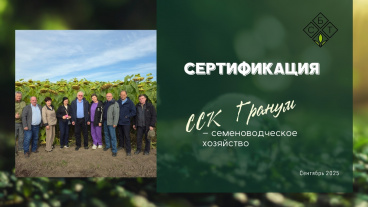 Успешная сертификация