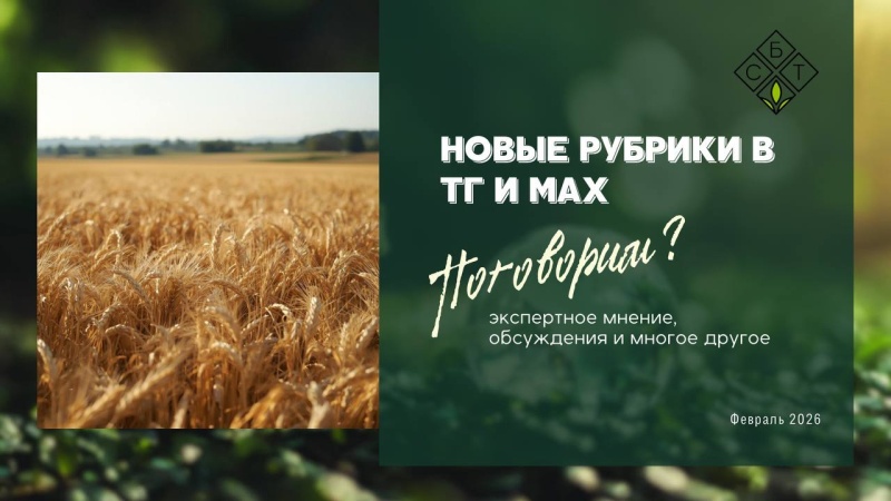 Новые рубрики в ТГ и MAX