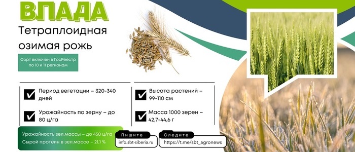 СБТ ВЛАДА