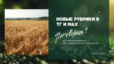 Новые рубрики в ТГ и MAX