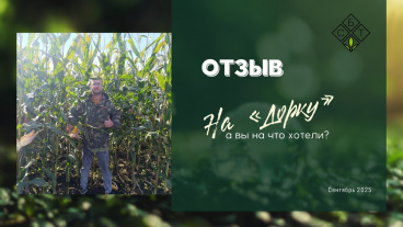 Отзыв на нашу нашумевшую «Дорку» прямиком из Бийского района