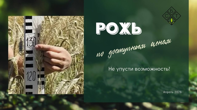 Рожь по доступным ценам - не упусти возможность!