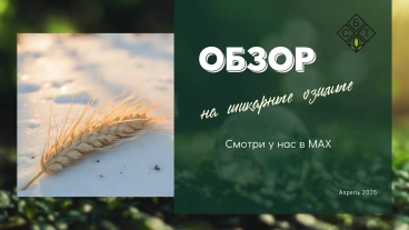 Обзор на шикарные озимые сорта